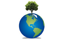 Adecuaci&oacute;n Ambiental